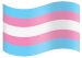 gender